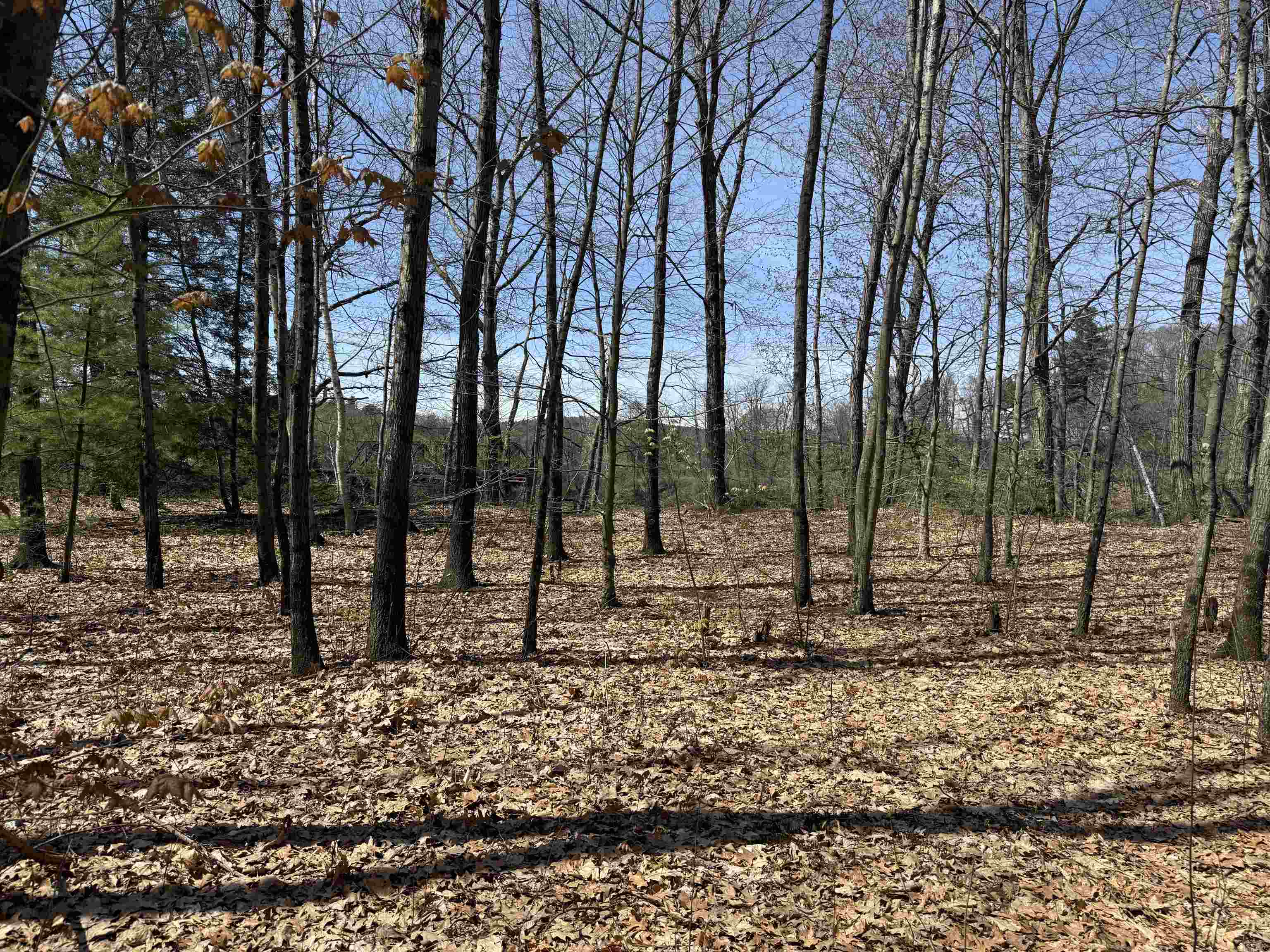 244 Mountain Road Chesterfield, NH 03466 - Photo 8 of 11