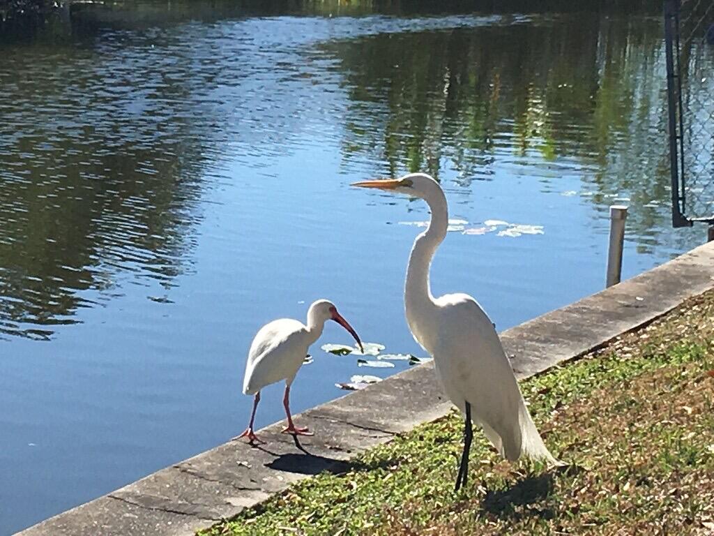 1163 20th Street Okeechobee, FL 34974 - Photo 13 of 20 image30