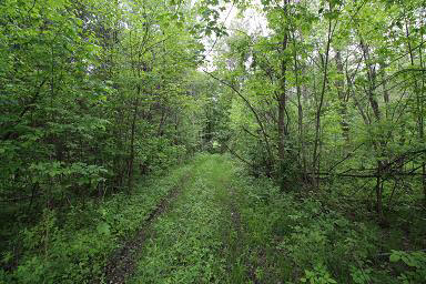 Baker Road Midland, MI 48642 - Photo 1 of 18
