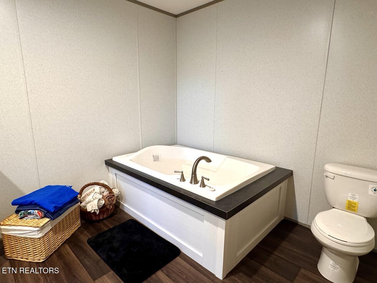 620 Pates Hill Road Mosheim, TN 37818 - Photo 24 of 51 Primary bathtub