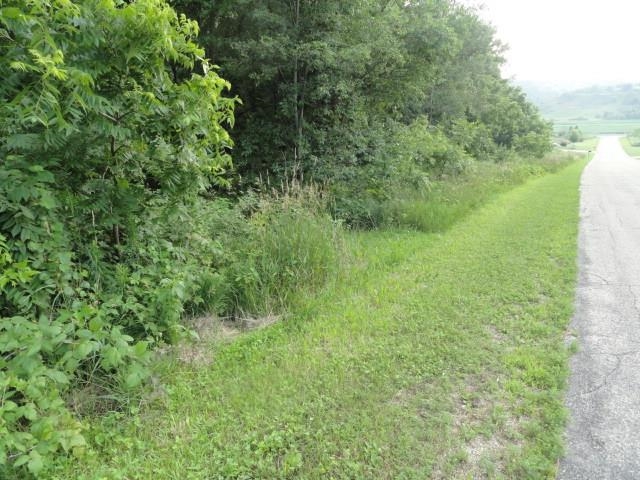 9 Cardinal Crest Lane New Glarus, WI 53574 - Photo 20 of 64