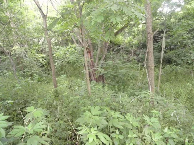 $99,900 | Lt 9 Cardinal Crest Lane, New Glarus, WI 53574