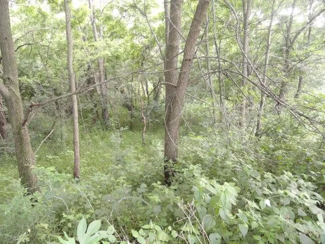 $99,900 | Lt 9 Cardinal Crest Lane, New Glarus, WI 53574