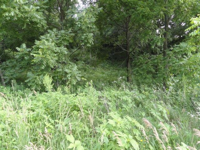 9 Cardinal Crest Lane New Glarus, WI 53574 - Photo 25 of 64