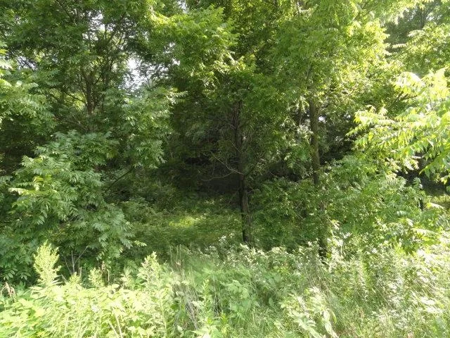 $99,900 | Lt 9 Cardinal Crest Lane, New Glarus, WI 53574