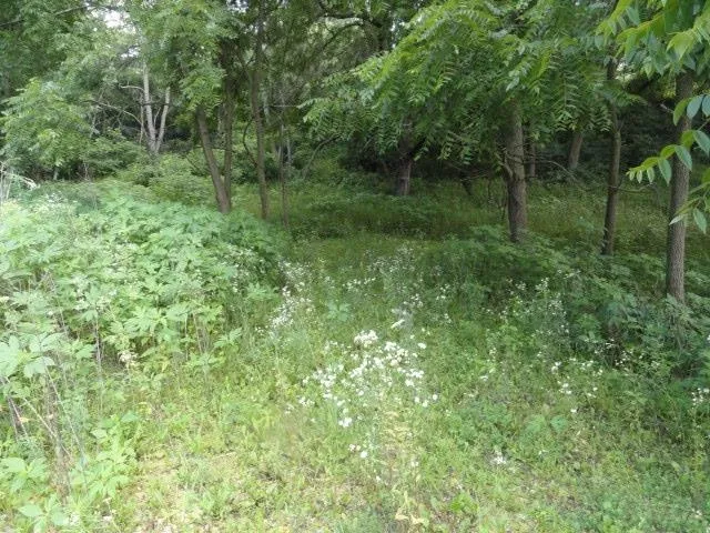 $99,900 | Lt 9 Cardinal Crest Lane, New Glarus, WI 53574