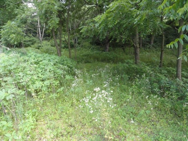 9 Cardinal Crest Lane New Glarus, WI 53574 - Photo 28 of 64