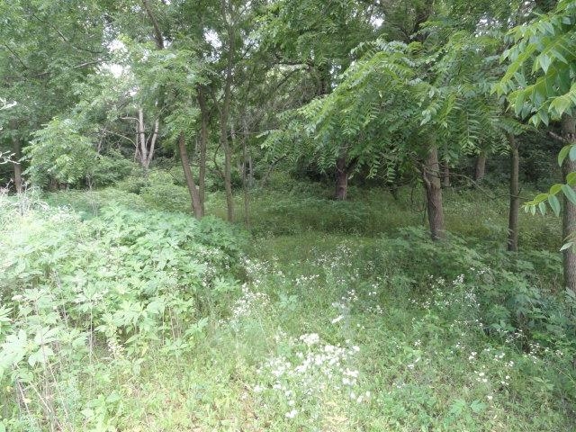 9 Cardinal Crest Lane New Glarus, WI 53574 - Photo 29 of 64