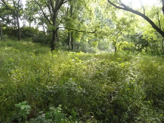 $99,900 | Lt 9 Cardinal Crest Lane, New Glarus, WI 53574