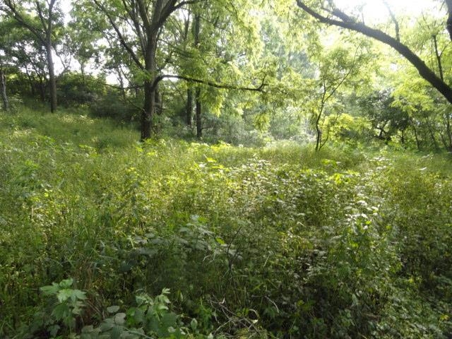 9 Cardinal Crest Lane New Glarus, WI 53574 - Photo 30 of 64