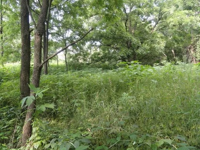 $99,900 | Lt 9 Cardinal Crest Lane, New Glarus, WI 53574