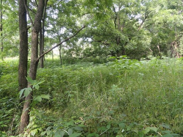 9 Cardinal Crest Lane New Glarus, WI 53574 - Photo 32 of 64