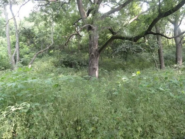 $99,900 | Lt 9 Cardinal Crest Lane, New Glarus, WI 53574