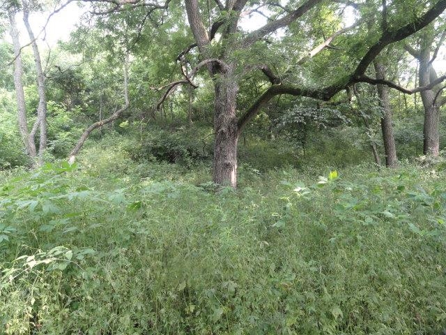 9 Cardinal Crest Lane New Glarus, WI 53574 - Photo 33 of 64