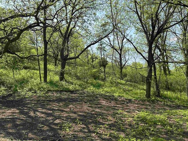 9 Cardinal Crest Lane New Glarus, WI 53574 - Photo 36 of 64