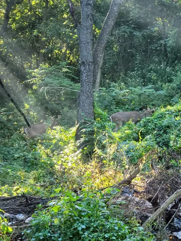 $99,900 | Lt 9 Cardinal Crest Lane, New Glarus, WI 53574