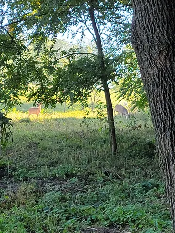 $99,900 | Lt 9 Cardinal Crest Lane, New Glarus, WI 53574