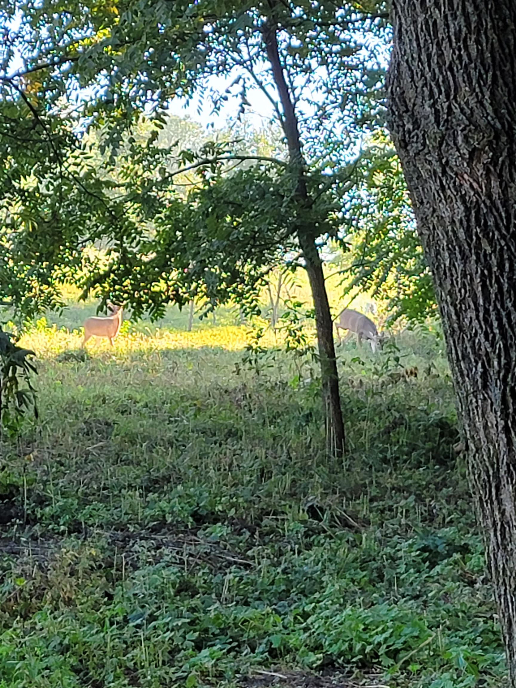 9 Cardinal Crest Lane New Glarus, WI 53574 - Photo 38 of 64