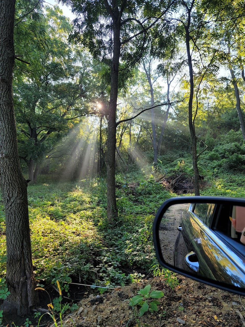 9 Cardinal Crest Lane New Glarus, WI 53574 - Photo 40 of 64