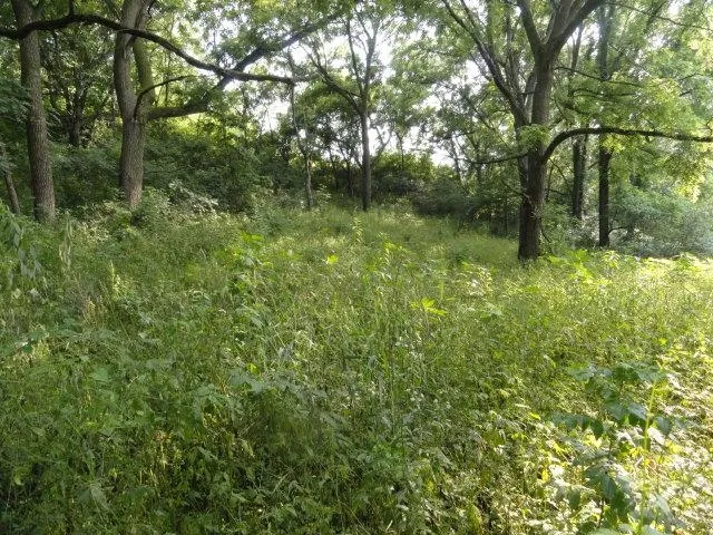 $99,900 | Lt 9 Cardinal Crest Lane, New Glarus, WI 53574