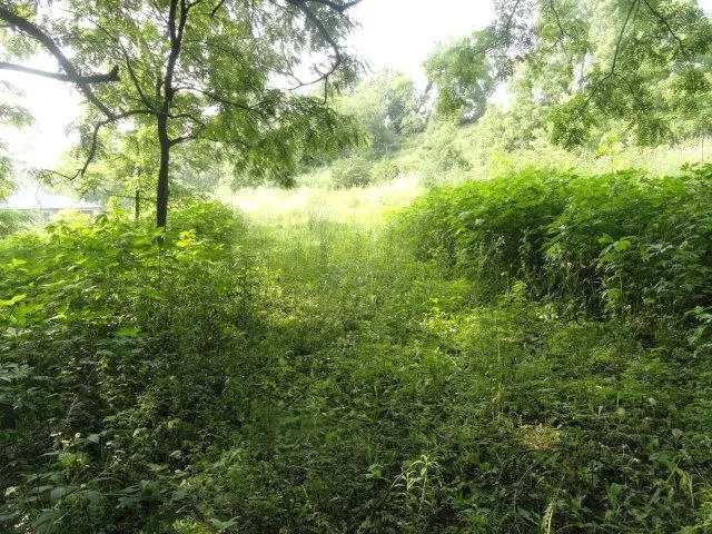 $99,900 | Lt 9 Cardinal Crest Lane, New Glarus, WI 53574