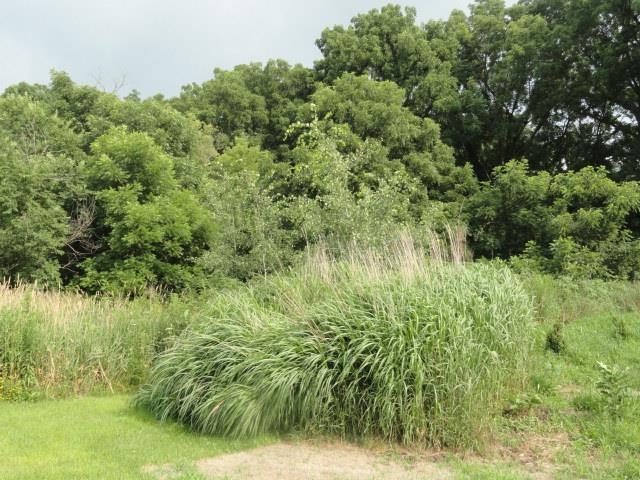 9 Cardinal Crest Lane New Glarus, WI 53574 - Photo 43 of 64