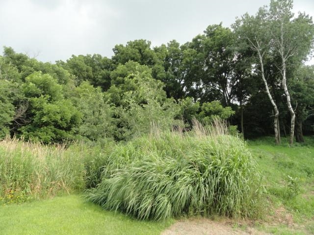 9 Cardinal Crest Lane New Glarus, WI 53574 - Photo 44 of 64