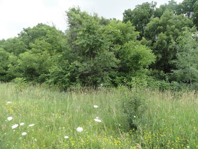 9 Cardinal Crest Lane New Glarus, WI 53574 - Photo 45 of 64