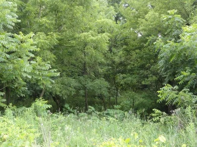 $99,900 | Lt 9 Cardinal Crest Lane, New Glarus, WI 53574