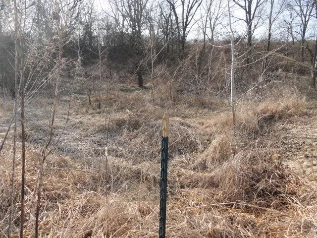 $99,900 | Lt 9 Cardinal Crest Lane, New Glarus, WI 53574