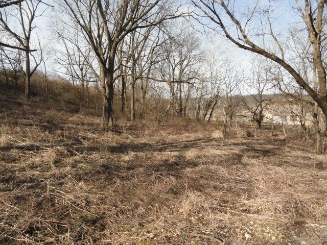 9 Cardinal Crest Lane New Glarus, WI 53574 - Photo 53 of 64