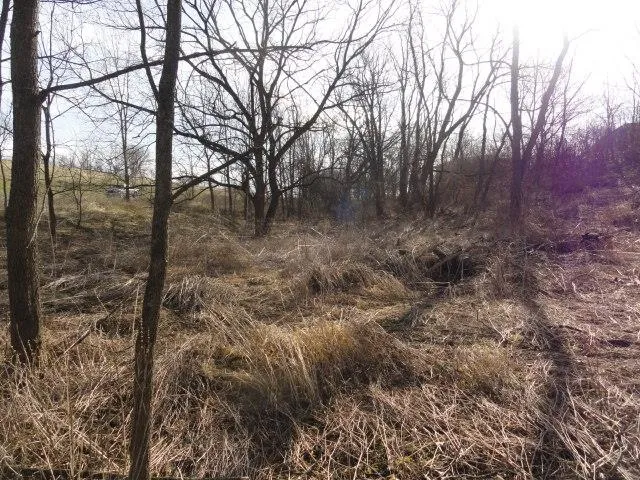 $99,900 | Lt 9 Cardinal Crest Lane, New Glarus, WI 53574