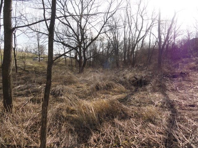 9 Cardinal Crest Lane New Glarus, WI 53574 - Photo 54 of 64