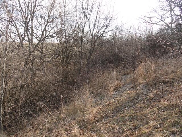 9 Cardinal Crest Lane New Glarus, WI 53574 - Photo 56 of 64