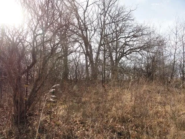 $99,900 | Lt 9 Cardinal Crest Lane, New Glarus, WI 53574