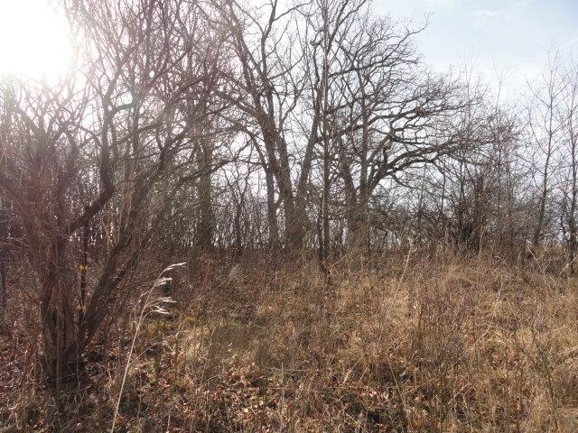 9 Cardinal Crest Lane New Glarus, WI 53574 - Photo 58 of 64