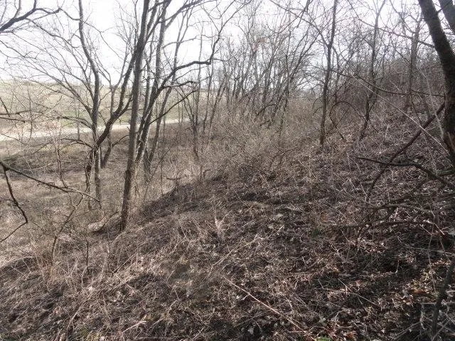 $99,900 | Lt 9 Cardinal Crest Lane, New Glarus, WI 53574