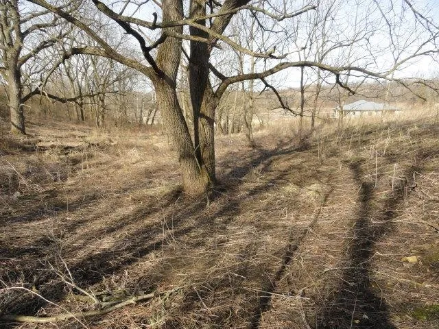 $99,900 | Lt 9 Cardinal Crest Lane, New Glarus, WI 53574