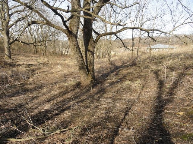 9 Cardinal Crest Lane New Glarus, WI 53574 - Photo 63 of 64