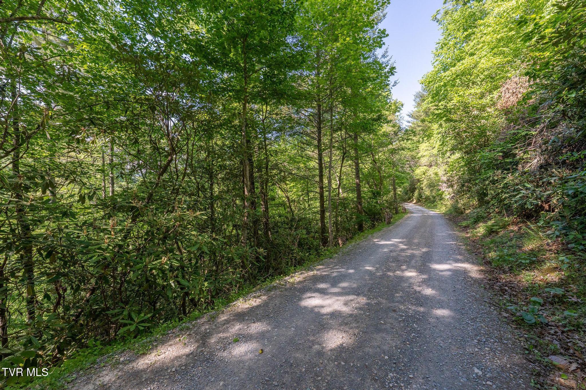 Tbd Canaan Road Butler, TN 37640 - Photo 12 of 24 TBD Canaan Road (34 of 39)