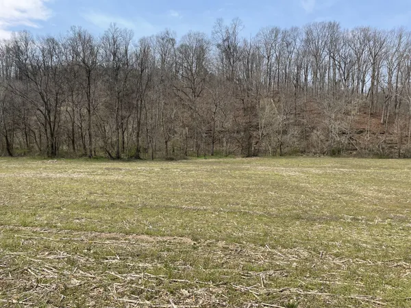 a view of a yard with trees in the background
