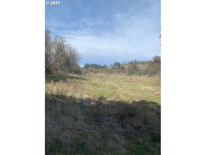 Newton Road Centerville, WA 98613 - Photo 22 of 22 Gallery Image 22