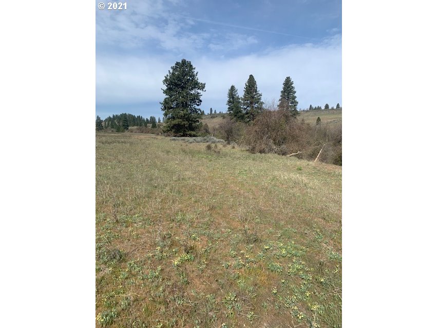 Newton Road Centerville, WA 98613 - Photo 8 of 22 Gallery Image 8