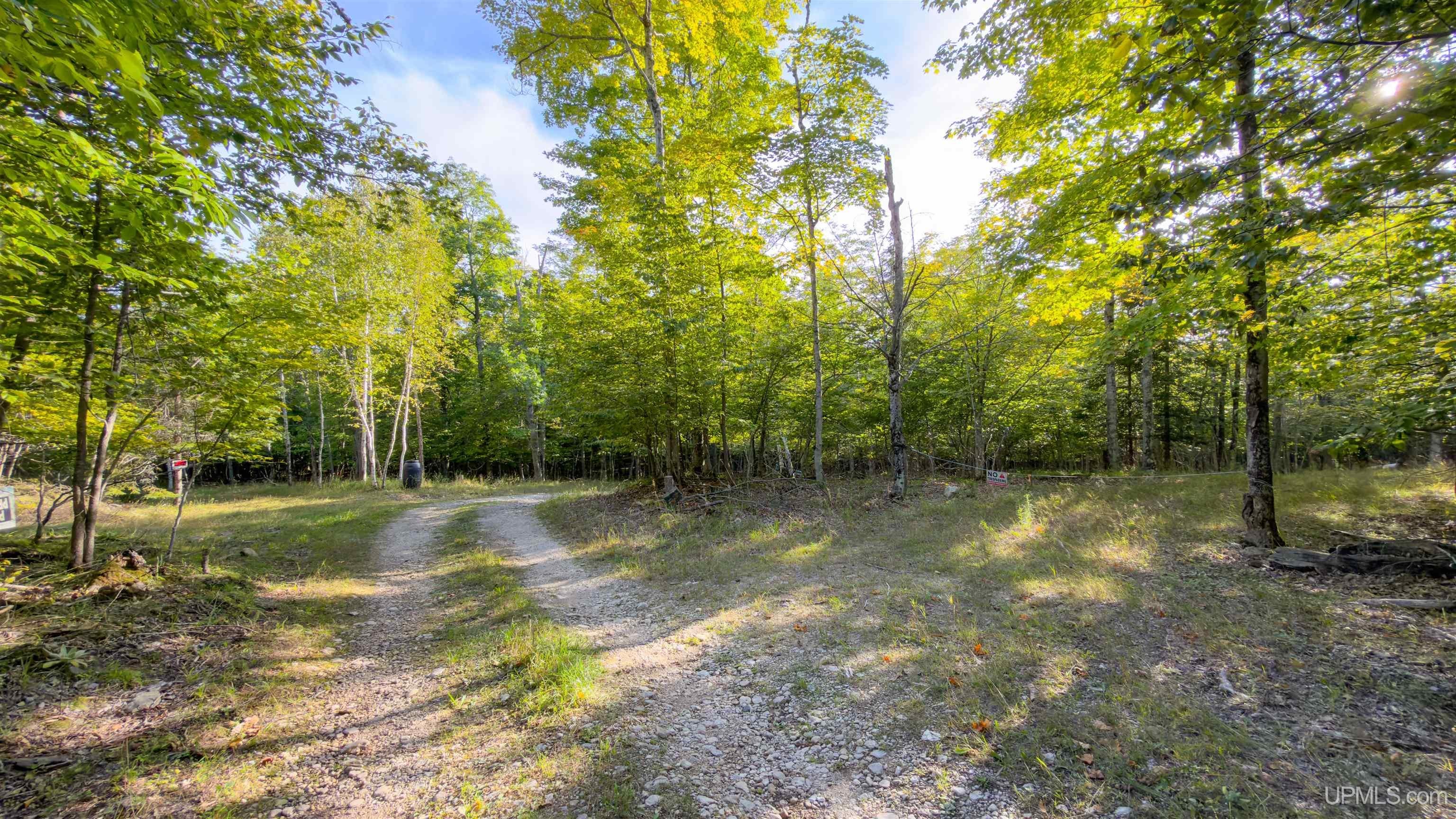 Tbd 9.5 Road Garden, MI 49835 - Photo 9 of 61 Gallery Image 9