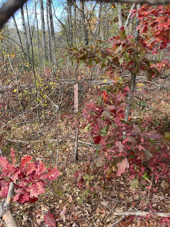 5489 Curtis Road Hale, MI 48739 - Photo 17 of 27