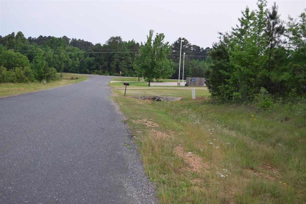 1 Ryan's Way Minden, LA 71055 - Photo 2 of 5