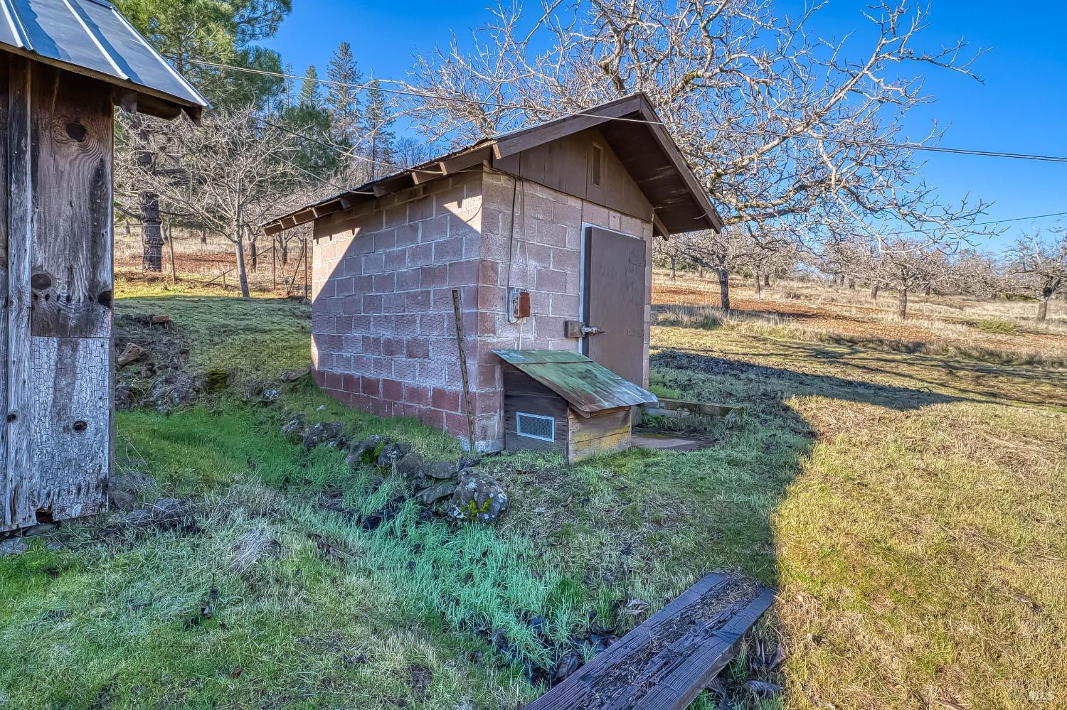 11415 Seigler Springs Road Middletown, CA 95461 - Photo 50 of 52 a backyard of a house with lots of green space