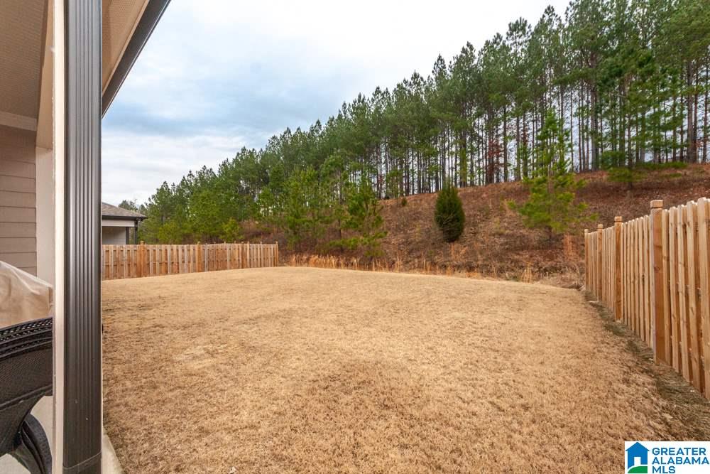 599 Grayson Place Chelsea, AL 35043 - Photo 36 of 37
