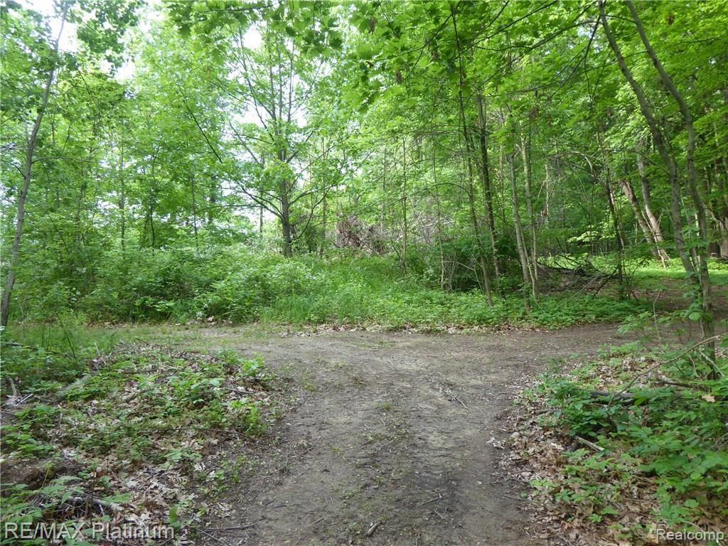 249 Dieterle Road Fowlerville, MI 48836 - Photo 33 of 36 Trail 2.JPG