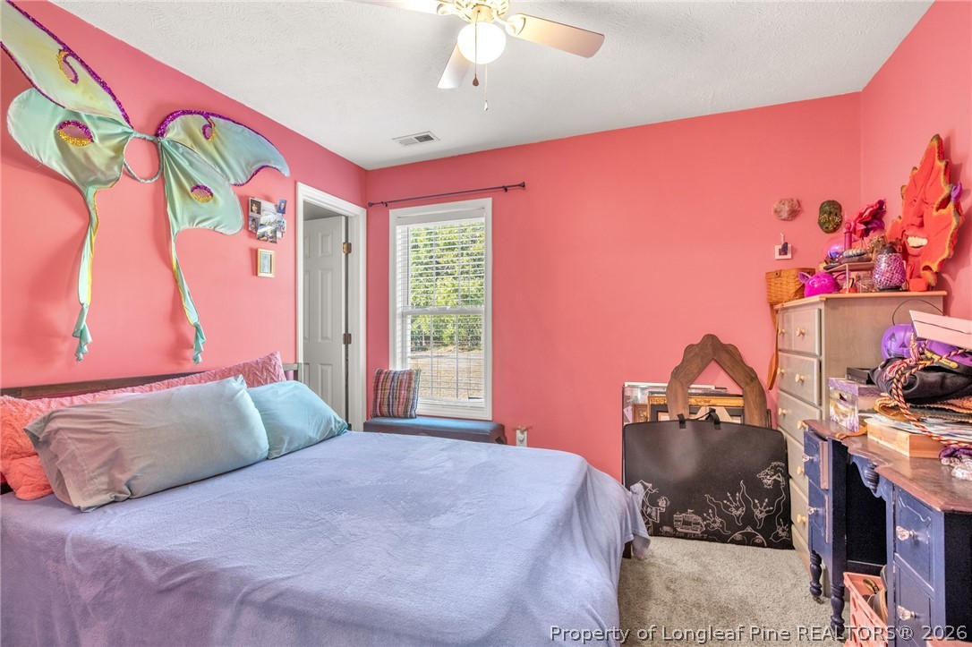 2068 Tingen Road Broadway, NC 27505 - Photo 18 of 30 Gallery Image 18